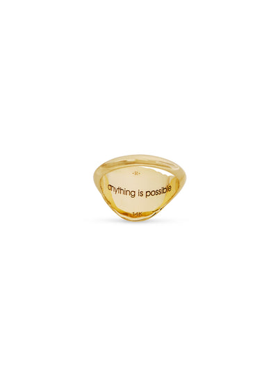 Flying Pig Tiered Fantasy Yellow Gold Signet Ring