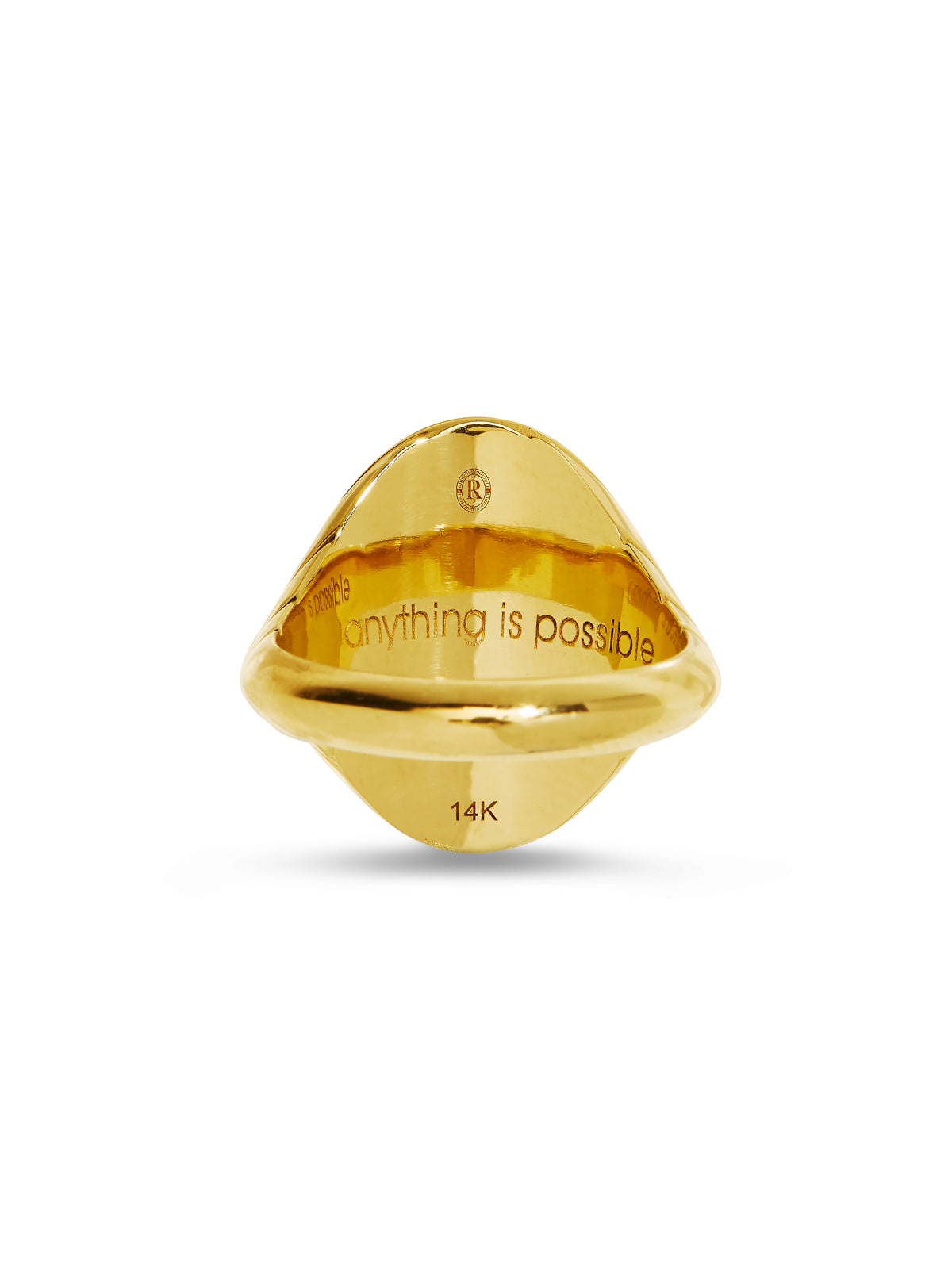 Diamond Flying Pig Fantasy Signet Ring